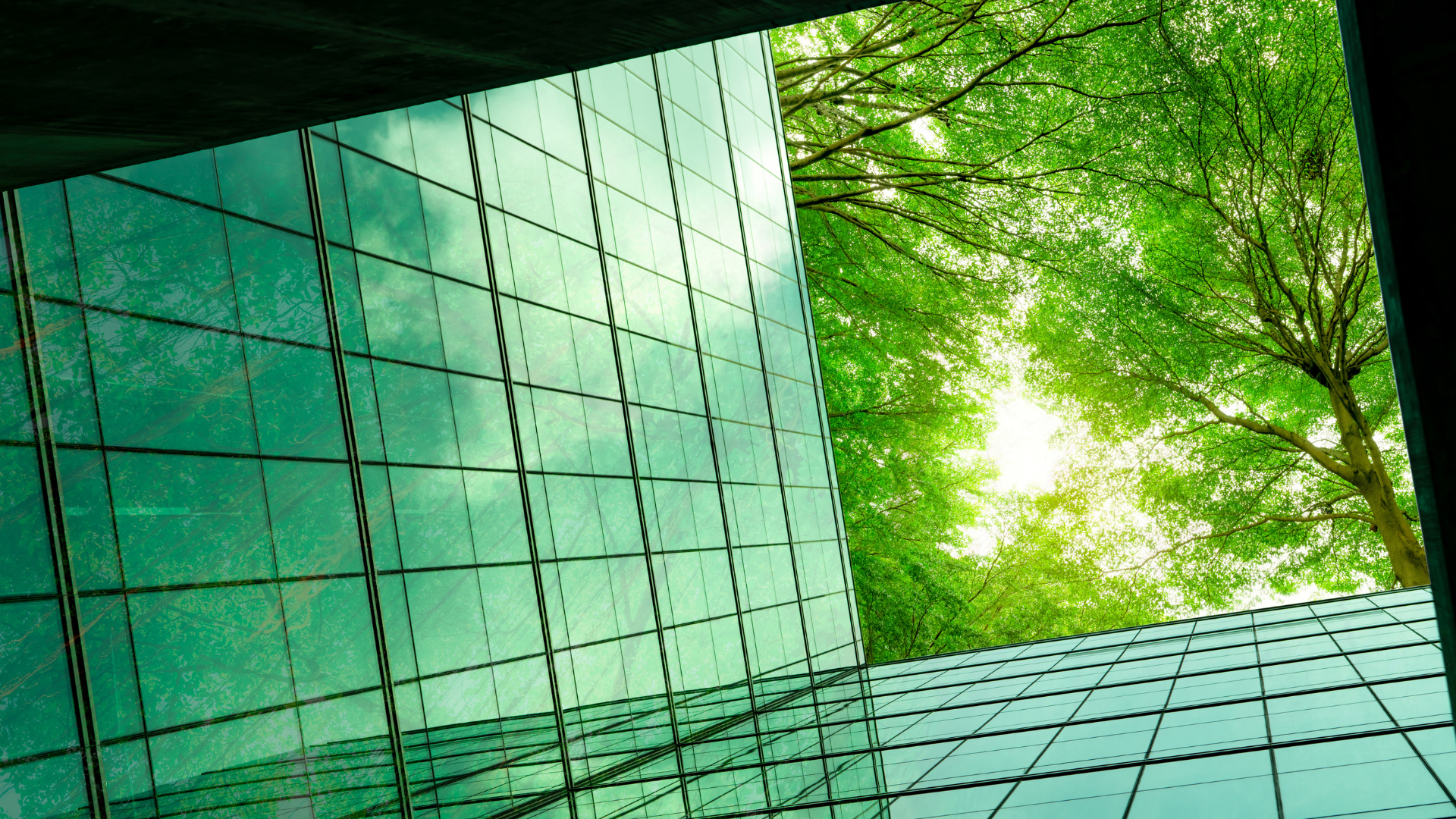 KOMPLETT OTTIENE LA CERTIFICAZIONE UNI EN ISO 14001:2015 